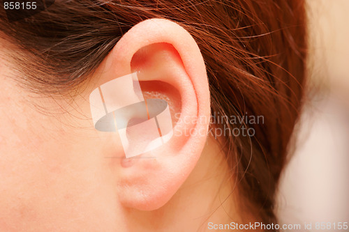Image of ear