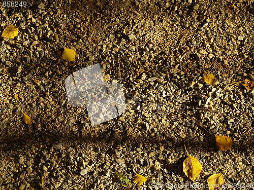 Image of Stones and leafs