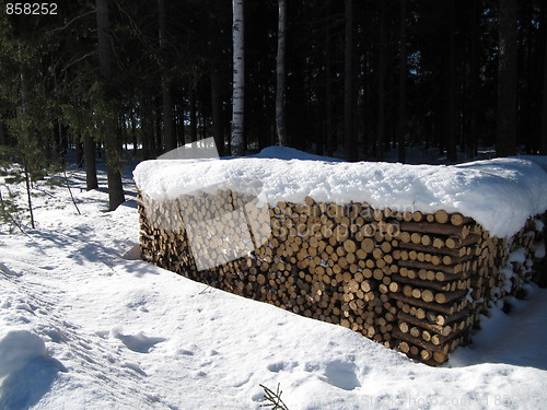 Image of Snowy woodpile