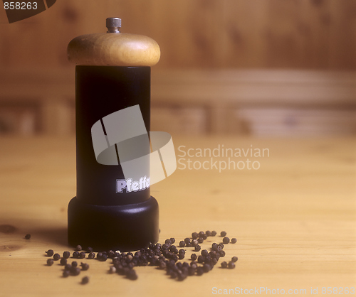 Image of Pepper Mill