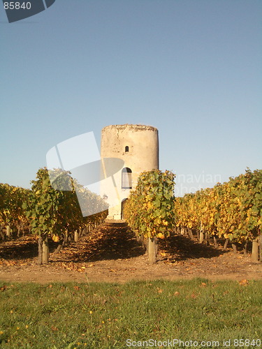 Image of Loire Valley Vineyard