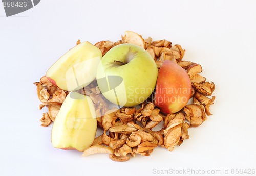 Image of green sliced and dried apples on white