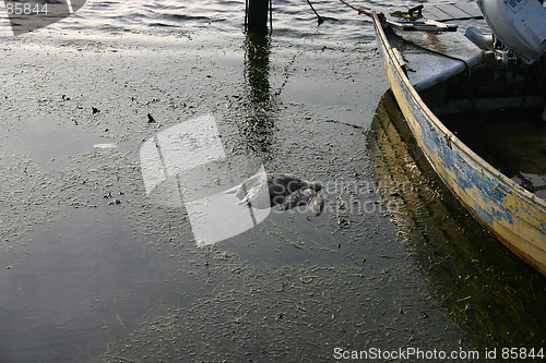 Image of harbour