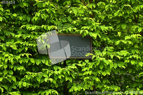 Image of label in green leaf background with place for your text