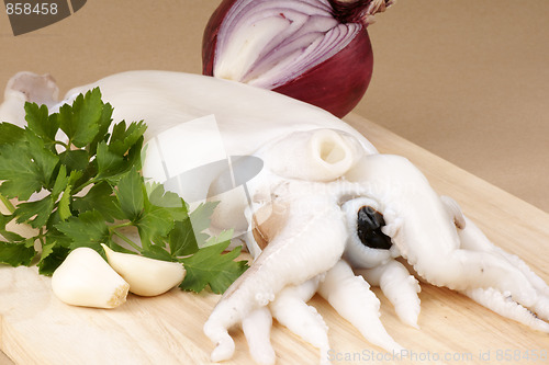 Image of Raw cuttlefish with herbs
