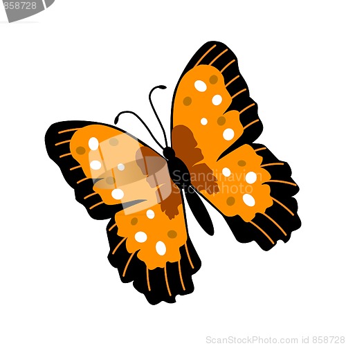 Image of Butterfly Illustration