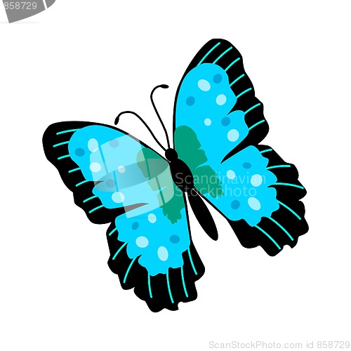 Image of Butterfly Illustration