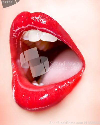 Image of sexy girl lips