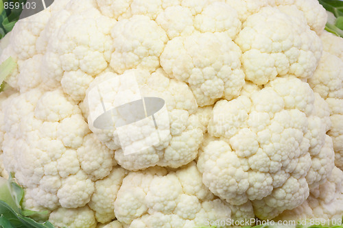 Image of Closeup of cauliflower