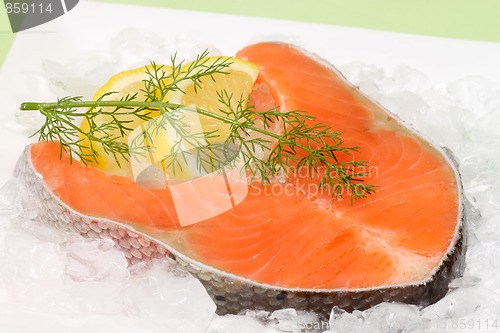 Image of Raw salmon trout steak