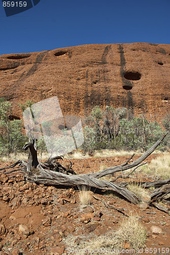 Image of Australian Outback