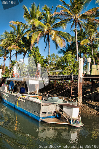 Image of Coast near Port Douglas in Queensland