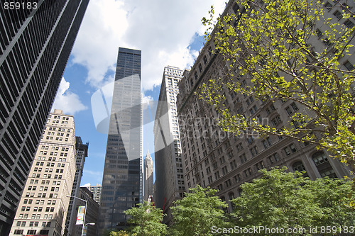 Image of Skyscrapers of New York City