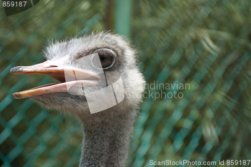 Image of Birds Park in Kuala Lumpur