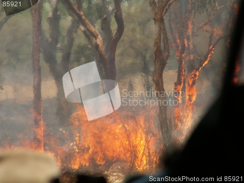Image of Bush fire