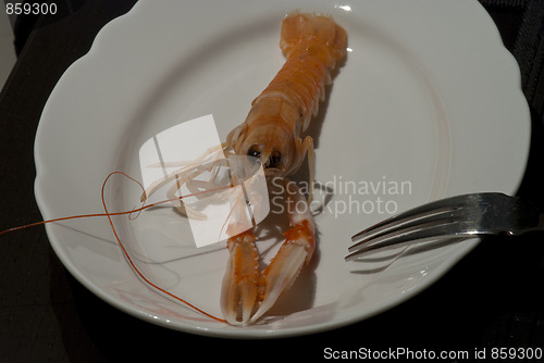 Image of Prawn ready to be eaten, Italy