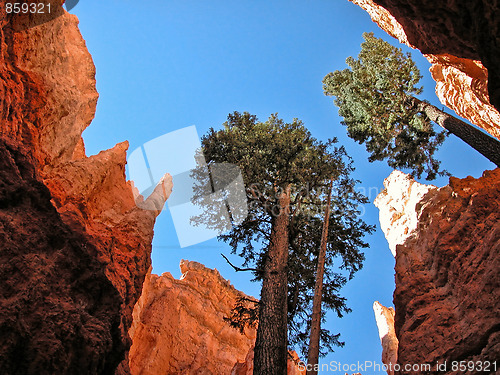 Image of Bryce Canyon, Utah