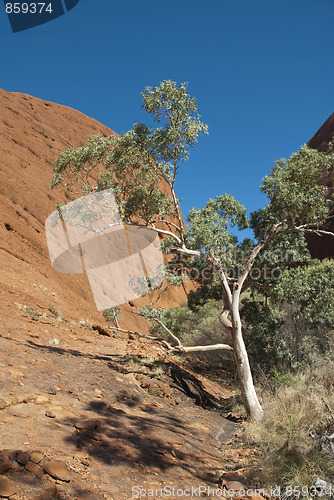 Image of Australian Outback