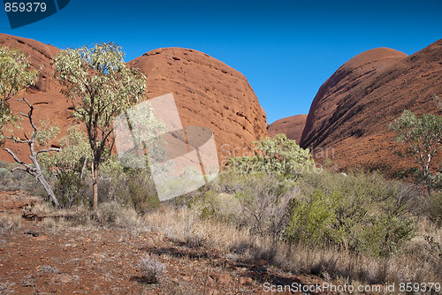 Image of Australian Outback