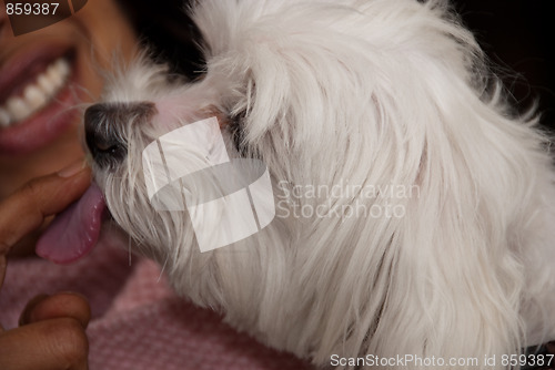 Image of Dog Licking Woman Finger with Sugar