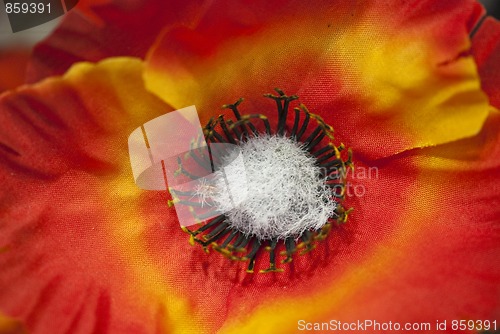 Image of Red and Yellow Artificial Flower