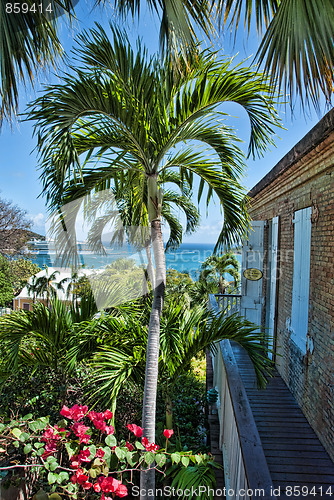 Image of Colours of Saint Thomas