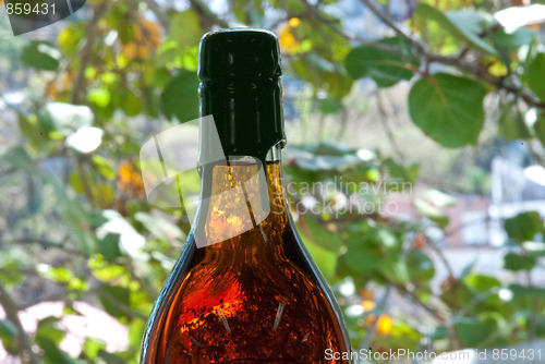 Image of Wine Bottles in Saint Thomas
