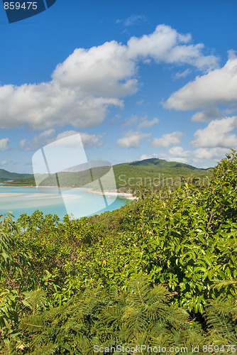 Image of Whitehaven Beach, Queensland, Australia