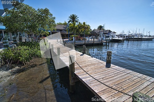 Image of Park in Miami, Florida