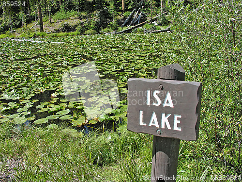 Image of Isa Lake in Yellowstone National Park