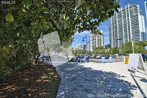 Image of Streets of Miami, Florida