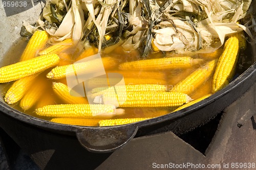 Image of Corn