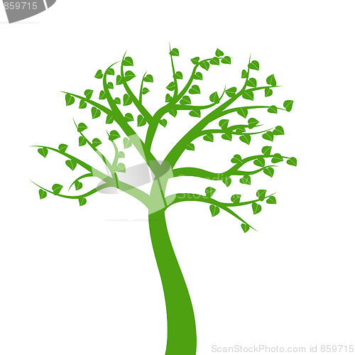 Image of Tree Illustration