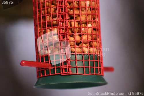 Image of bird food