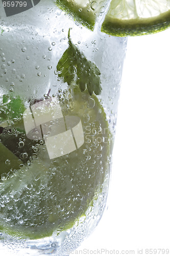 Image of Fragment of mojito cocktail glass