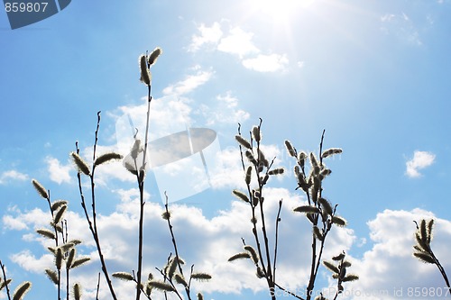 Image of Beautiful heavenly landscape