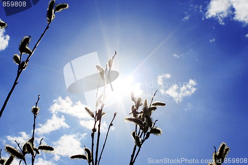 Image of Beautiful heavenly landscape
