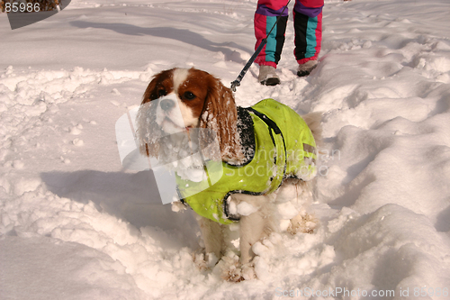 Image of winter in sweden