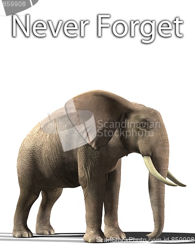 Image of Elephant That Never Forgets