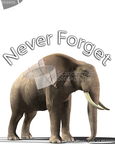 Image of Elephant That Never Forgets