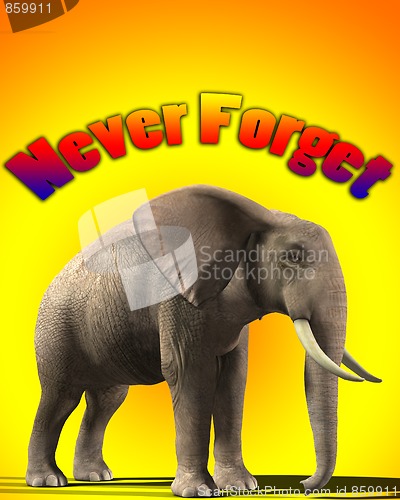 Image of Elephant That Never Forgets