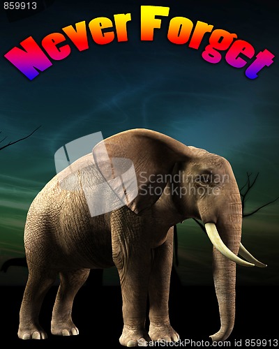 Image of Elephant That Never Forgets