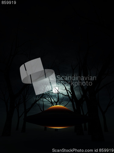 Image of UFO In The Forest 