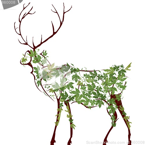 Image of Deer illustration