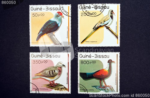 Image of Birds stamps