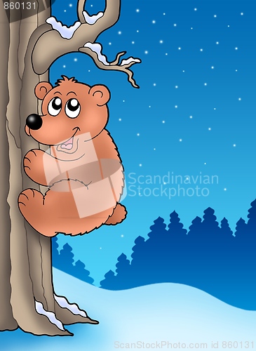 Image of Cute bear climbing tree