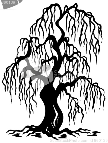 Image of Willow tree silhouette