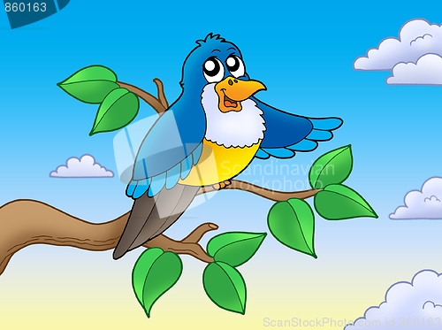 Image of Cute blue bird on branch