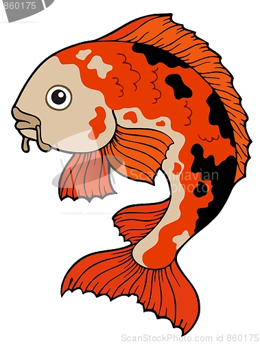 Image of Koi fish