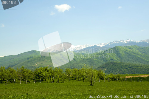 Image of snow meeting spring